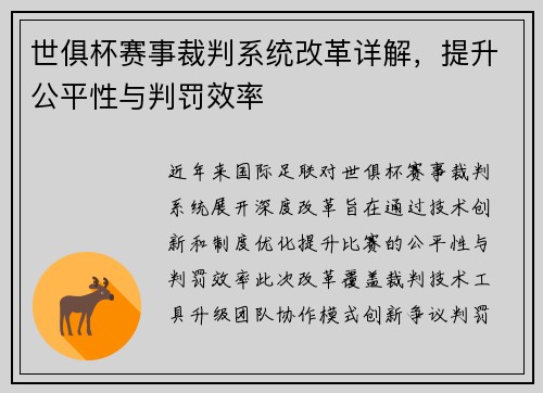世俱杯赛事裁判系统改革详解，提升公平性与判罚效率